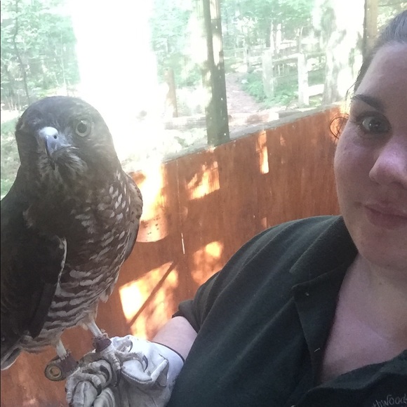 Meet your Posher, Ellie - Picture 4 of 6